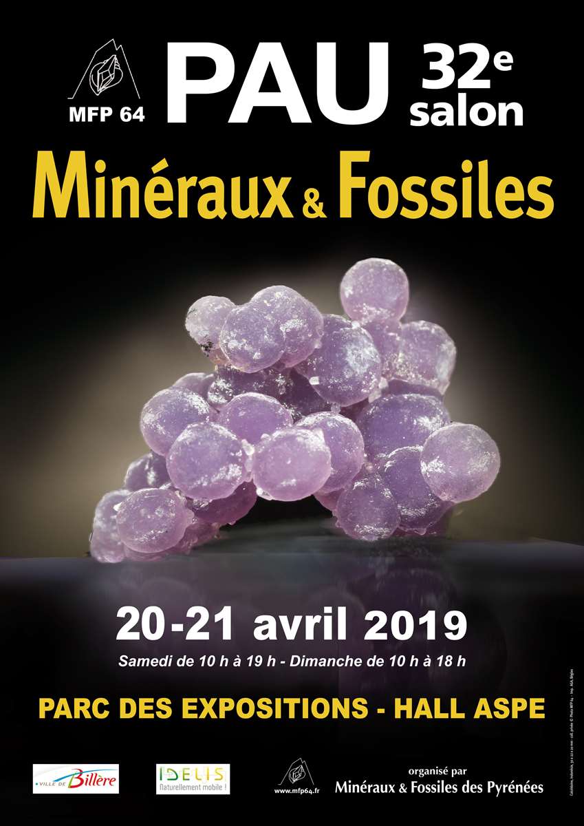 affiche-2019-reduite-copie