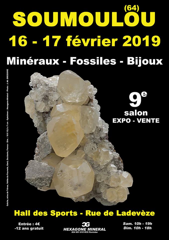 affiche-salon-soumoulou-fevrier-2019