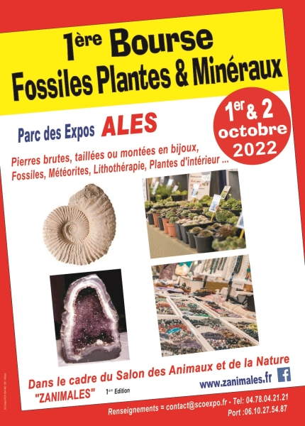2022-flyers-bourse-fossiles-plantes-mineraux-zanimales-2022