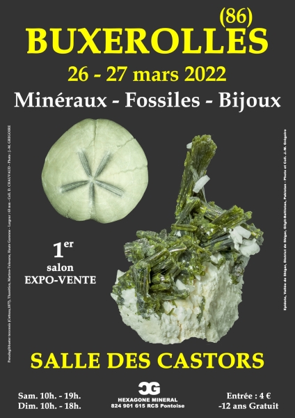 affiche-1er-salon-de-buxerolles