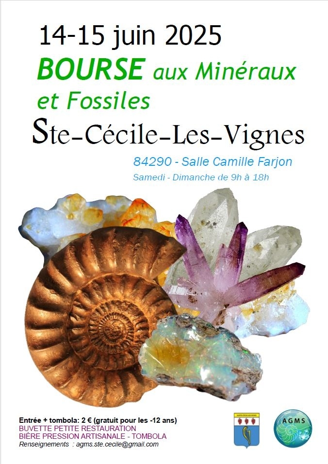 affiche-2_2025