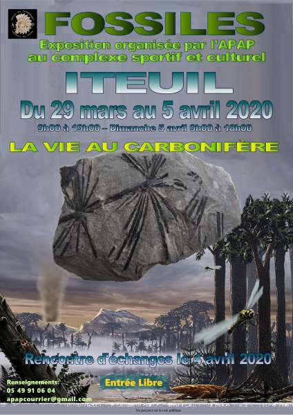 apap-affiche-2020-reduite