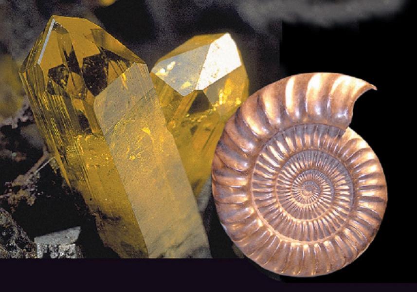 visuel-cristal-et-ammonite