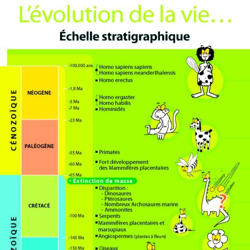 Poster sur l'évolution de la Vie