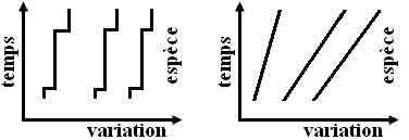 saltationnisme et gradualisme