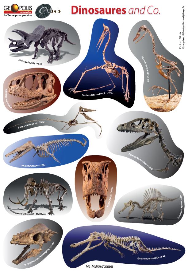 Planche de 12 autocollants de dinosaures en partenariat avec Eldonia