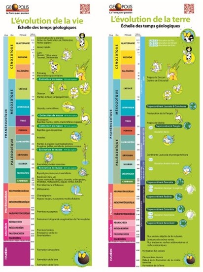 2 Bannières avec système d'accroche : Echelle des temps géologiques - Evolution de la vie + terre