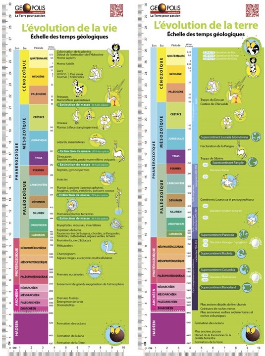 EDITION 2023 - Plaquette : Echelle des temps géologiques - L'évolution de la vie et de la terre