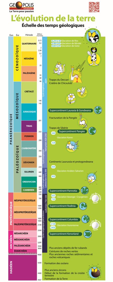 Bannière avec structure d'accroche : Echelle des temps géologiques - Evolution de la vie