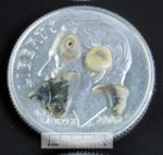 20 Journiac