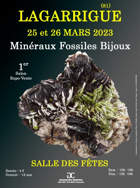 affiche-1er-salon-mineraux-fossiles-bijoux-de-lagarrigue-tarn