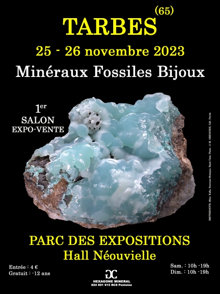 affiche-1er-salon-mineraux-fossiles-bijoux-de-tarbes
