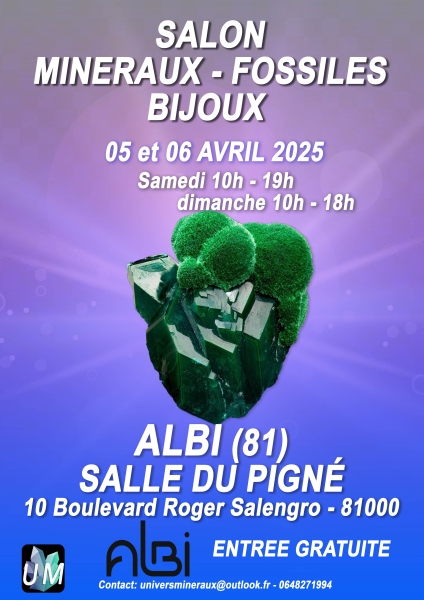 affiche-2-albi-2