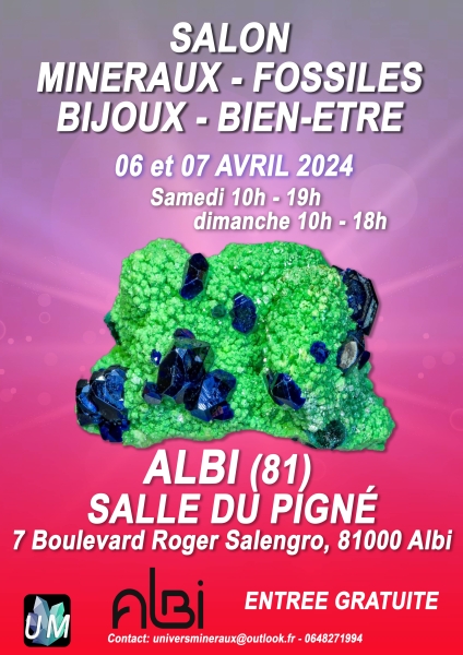 affiche-2-albi