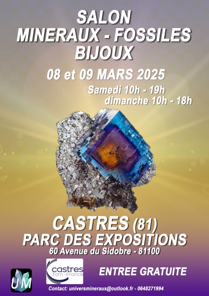 affiche-2-castres