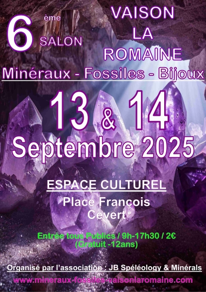 affiche-2025-v-pixel-faible
