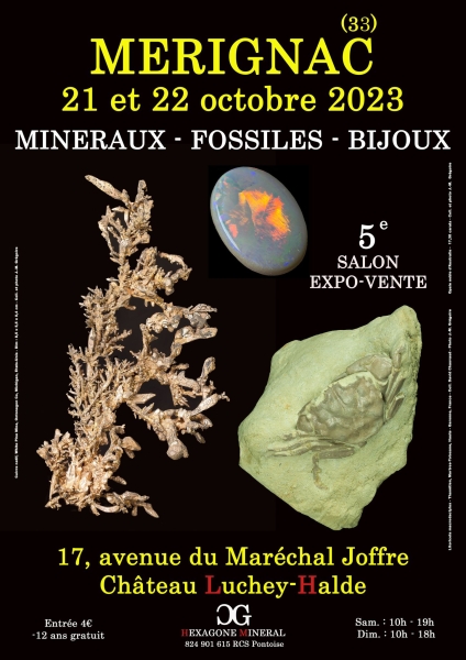 affiche-5e-salon-mineraux-fossiles-bijoux-de-merignac