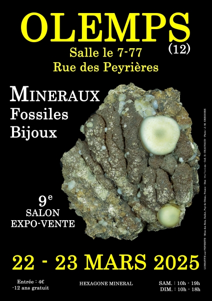 affiche-9e-salon-mineraux-fossiles-bijoux-de-olemps-aveyron