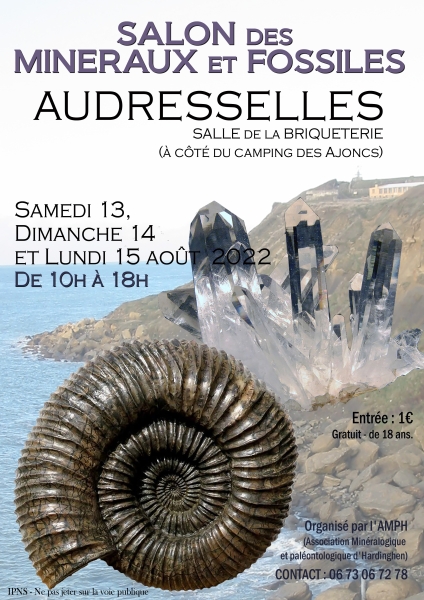 affiche-audresselles-copie