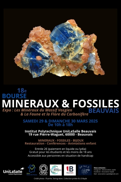 affiche-bourse-2025