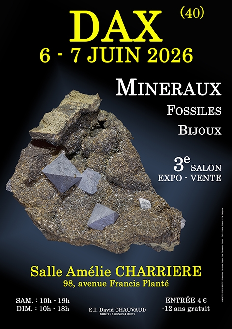 affiche-dax-2026-petit-format-2