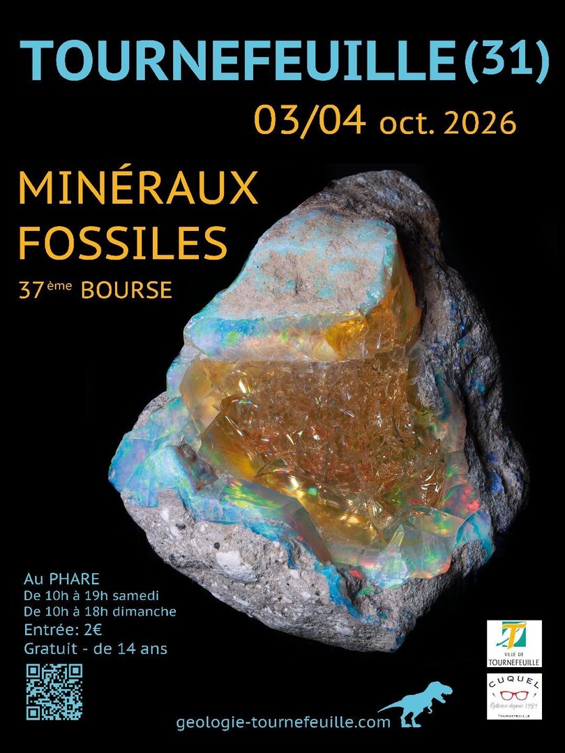 affiche-geologie-2026small
