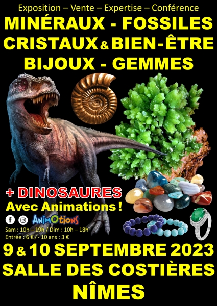 affiches-a3-nimes