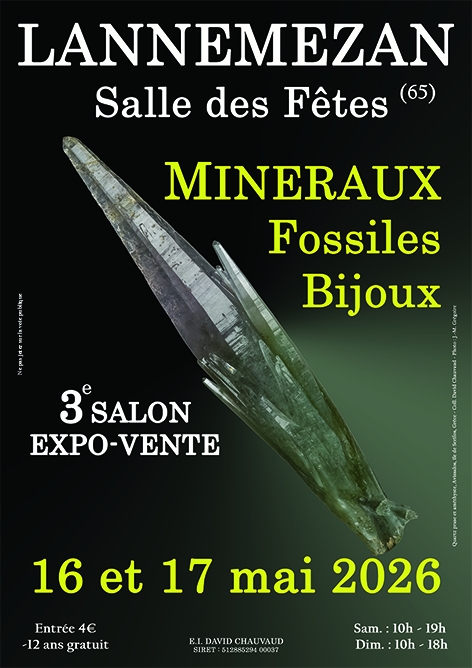affiches-lannemezan-2026-web