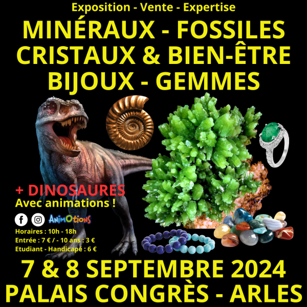 arles-dino