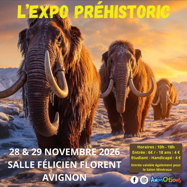 avignon-1-prehistoire-2026