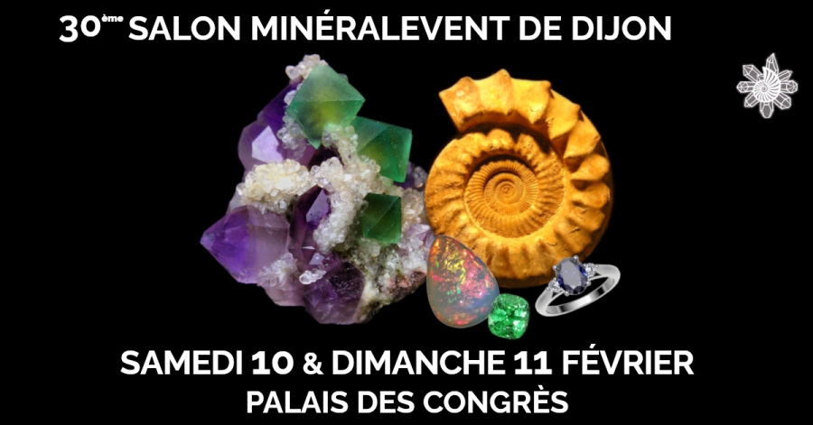 banniere-evenement-facebook-dijon-2024