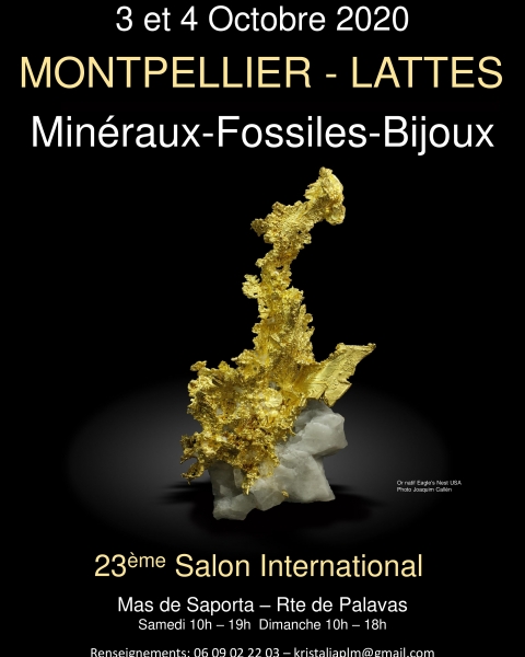 bourse-mineraux-lattes-24