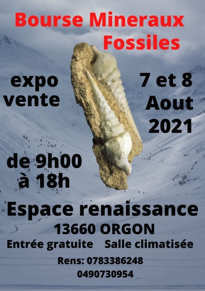 bourse-mineraux