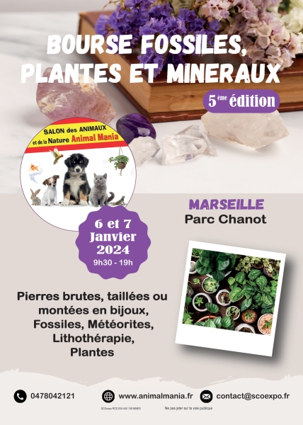 flyer-bourse-nouveau-2