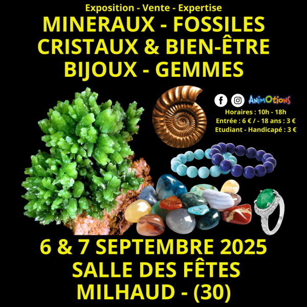nimes-m-f