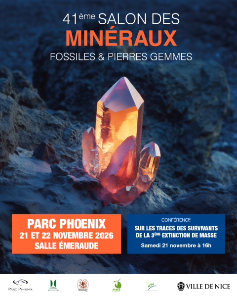 salon-des-mineraux-1-facebook