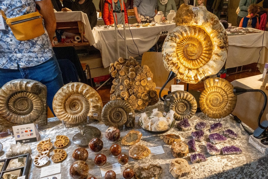 stand-fossiles-et-mineraux-c-t-bastuck